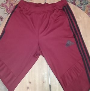 Adidas Tiro 19 Training pants